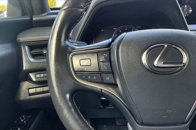2019 Lexus UX 200 UX 200